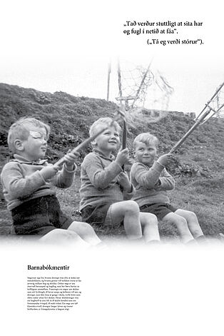 Bo kmentasoega plansjur 08