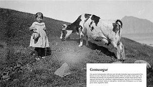 Bo kmentasoega plansjur 05