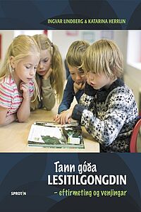 Tann góða lesitilgongdin (pappírsbók)