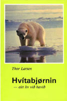 Hvítabjørnin 