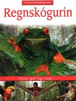 Regnskógurin